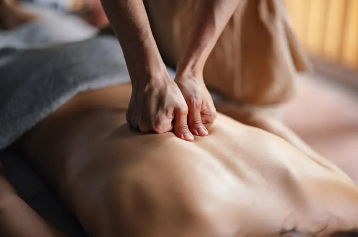 Deep Tissue Massage at Angel Massage Spa Sun City